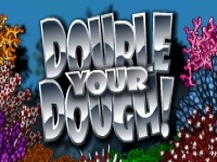 Double Your Dough