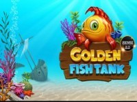 Golden Fish Tank