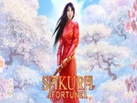 Sakura Fortune